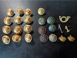 Lots De 25 Boutons. Héraldique Lion Poste Cor - Buttons