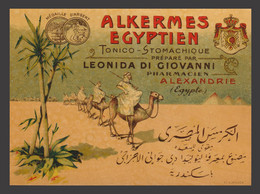 Egypt - RARE - Vintage Label - ( ALKERMES EGYPTIEN - Tonic - Stomachique ) - Nuevos