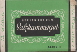 Leporello Österreich, 12 AK Aus Dem Salzkammergut, Versch. Aufnahmen, Je Ca. 9 X 14 Cm, - Otros & Sin Clasificación