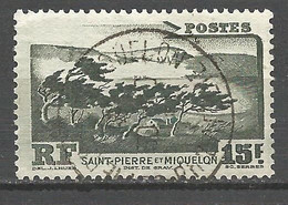 ST PIERRE ET MIQUELON N° 341 CACHET ST P ET MIQUELON - Usati