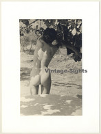 R.Folco: Rear View On Natural Nude Under Tree (Vintage Photo France 1960s) - Zonder Classificatie