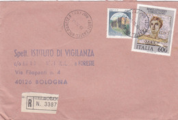 ITALIA - REPUBBLICA  - CASTEL BOLOGNESE (RA)  BUSTA RACCOMANDATA- VIAGGIATA  PER BOLOGNA - 1981-90: Storia Postale