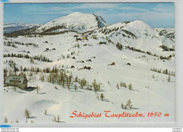 Tauplitzalm 1975 - Schigebiet - Tauplitz