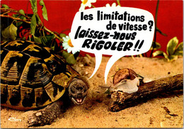 (1 J 33) France - Humour - Tortoises (speed Limit !) - Turtles