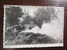 1950's Firefighters In Yugoslavia - Mestieri