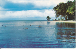 St. Lucia Postcard Sent To Netherlands 30-12-1970 (Pigeon Point) - Santa Lucia