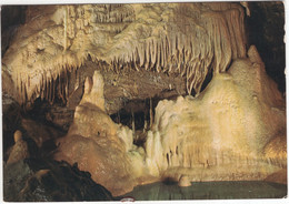 Hotton  (Ardennes Belges) - Grottes Des 1001 Nuits: L'abreuvoir / De Drinkbak - (Belgique/België) - Hotton