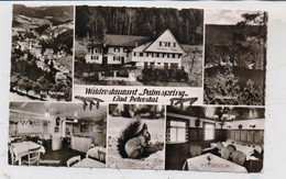 7605 BAD PETERSTAL, Waldrestaurant "Palmsring", 1966 - Bad Peterstal-Griesbach