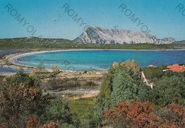 CARTOLINA  SAN TEODORO,SASSARI,SARDEGNA,LU IMPOSTU,MARE,VACANZA,SPIAGGIA,LUNGOMARE,BELLA ITALIA,VIAGGIATA 1979 - Sassari