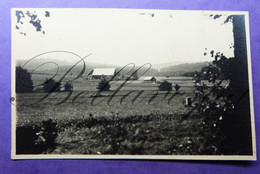 RPPC - Carte Photo Veritbale -Ceskoslovenski 22/07/1947  To Identify See Backsite - Tchéquie