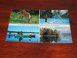 51234-               KEJIMKUJIK NATIONAL PARK, NOVA SCOTIA, CANADA - Sonstige & Ohne Zuordnung