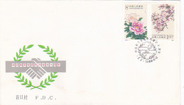 CHINA- JAPAN PEACE AND FRIENDSHIP TREATY, COVER FDC, 1988, CHINA - 1980-1989