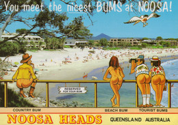 Noosa Heads, Queensland, Australia. You Meet The Nicest Bums At Noosa! - Sunshine Coast