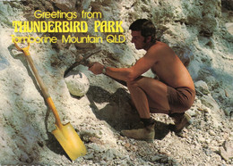 Thunderbird Park, Tamborine Mountain, Queensland, Australia. Unposted - Altri & Non Classificati