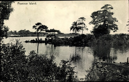 CPA Province Island Providence Island Monrovia Liberia, Gewässer, Palmen, Uferansicht - Sin Clasificación