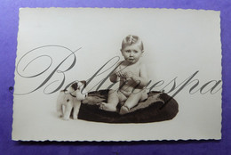 Carte Photo  Photographer  Baby-bébé Babie.studio Art Portret Steiff Terrier ? - Fotografie