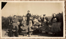 Montaigu - 4 Photos Anciennes - Les Vendanges Dans La Commune - Vendangeurs Vigne Vignoble Vin - 1938 - Montaigu