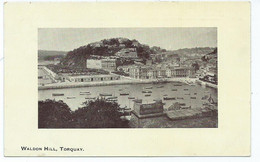 Postcard Devon Waldon Hill Torquay Nice Downey Head Posted - Torquay