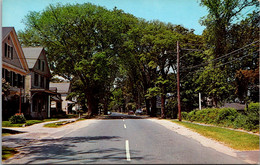 Massachusetts Cape Cod Old Elms On A Cape Cod Village Street - Cape Cod