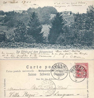 Die Hotels Auf Dem Bürgenstock          1901 - Other & Unclassified