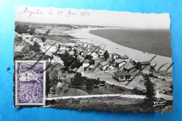 Argelès. Vue Generale De La Plage. D66-1952- Timbre N° 908 - Argeles Sur Mer
