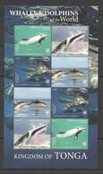 NW692 2020 TONGA WHALES & DOLPHINS !!! SALE MARINE LIFE FAUNA SH MNH - Meereswelt