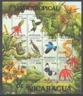 PK203 1993 NICARAGUA FAUNA BIRDS SELVA TROPICAL DE NICARAGUA 1SH MNH STAMPS - Autres & Non Classés