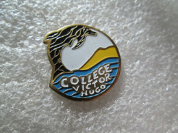 PIN'S    COLLEGE  VICTOR  HUGO   ANIMAUX  DAUPHIN - Administrations
