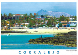 CORRALEJO, FUERTEVENTURA, CANARY ISLANDS, SPAIN. UNUSED POSTCARD   F3 - Fuerteventura