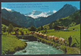 Carte P De 1979 ( Alpabfahrt, Wildstrubel ) - Trub