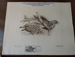 TAAF Gravure Lithographie / Velin 33 X 25 Cm Skua N° 523/1200 Signée Andréotto FDC N° 176 1993 - Non Dentelés, épreuves & Variétés