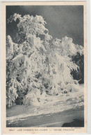 LES VOSGES EN HIVER   88 VOSGES  BELLE CPSM  NEIGE FRAICHE - Altri & Non Classificati