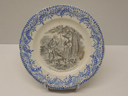 *ANCIENNE ASSIETTE CERAMIQUE ST AMANDINOISE LES FRUITS : LES NOIX Collection   E - Saint Amand (FRA)