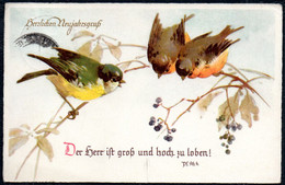 D9103 - Glückwunschkarte - Neujahr - Vögel Meise Fink - Gel Schwarzenberg - Año Nuevo