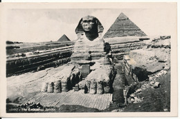 Egypt Postcard Sphinx Sent To Germany 12-9-1962 - Sphynx