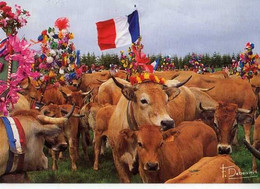 DEBAISIEUX Fete De L'Estive Lors De La Montee Des Troupeaux A St Urbain,  Vaches, Drapeau Francais - Autres & Non Classés