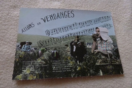 BELLE CARTE ..CHANSON ET SCENE DE VENDANGES - Vignes