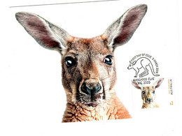 Delcampe - Australia 2019 Australian Fauna,Red Kangaroo,Maximum Card - Maximumkarten (MC)