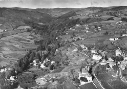 42-RENAISON- LA VALLEE DU RENAISON VUE DU CIEL - Autres & Non Classés