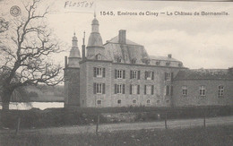 Environs De Ciney- Le Château De Bormenville.  (Flostoy) Scan - Autres & Non Classés