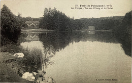 Paimpont - La Forêt - Les Forges - Vue Sur L’étang Et Le Chalet - Paimpont