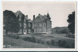 Erezée - Le Chateau De Blier - Erezee