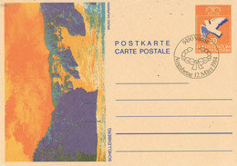 46396. Entero Postal  F.D.C. VADUZ (Liechtenstein) 1984. Vista Schellenberg - Entiers Postaux