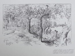 TAMISE  DIGUES DE L'ESCAUT     ==  LITHOGRAPHIE  ARMAND HEINS == 37.5 X 27.5 CM   ==  2 AFBEELDINGEN - Temse