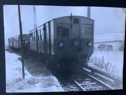 Photo Numérotée De J. BAZIN:  : Train En Gare De BOLQUERE - EYNE  En  1970 - Trains