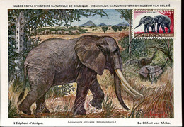 72713 Ruanda Urundi Maximum 1959  Elephant, Elefant, - Otros