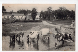 61 - HOUFFALIZE - Ardennes Belges - Bétail Dans La Rivière - Houffalize