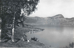 Emmetten - Ausblick Vom Friedheim Auf Den Vierwaldstättersee       Ca. 1950 - Emmetten