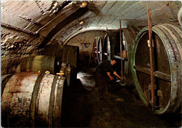 (1 J 50) France - Sancerre - Cave De M. Mellot - Tonneaux - Tonneau / Wine Barrel - Vignes