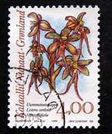 Greenland   1995  Flowers MiNr.256  (O) ( Lot H 555 ) - Gebruikt